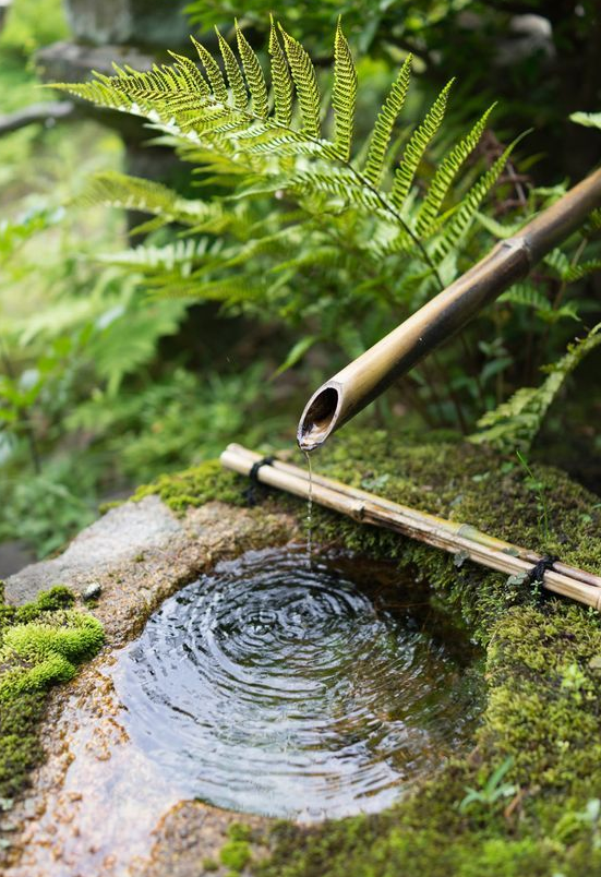 青島花園設(shè)計